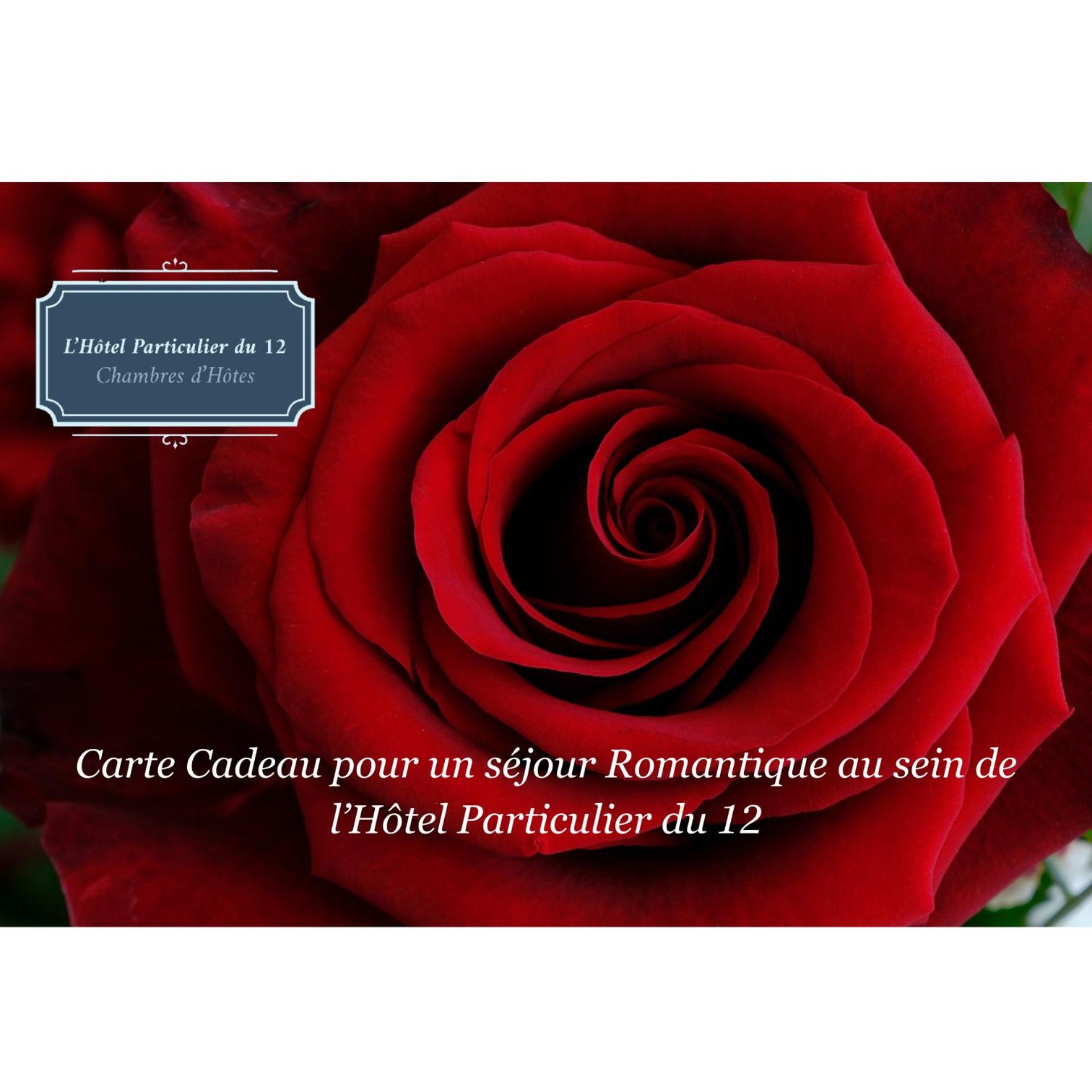 ניורט L'Hotel Particulier Du 12 מראה חיצוני תמונה